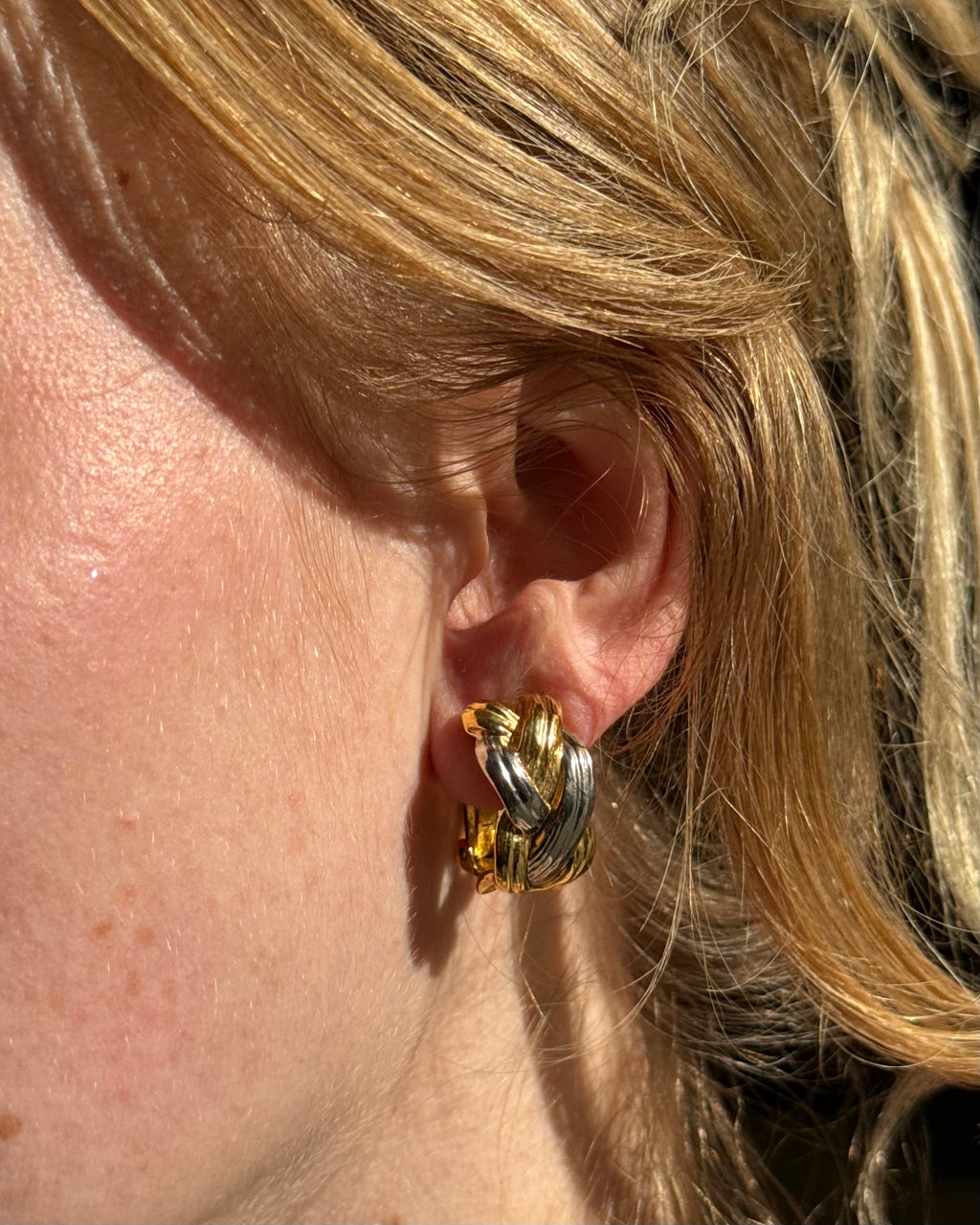 Boucles d'oreilles tréssées dorées et argentées