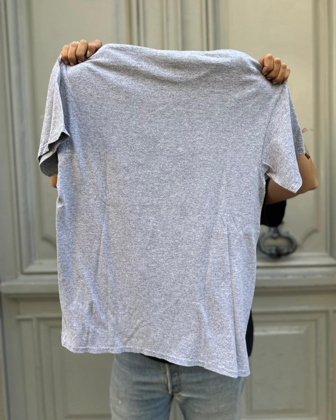 Tee shirt gris Mood Hippos