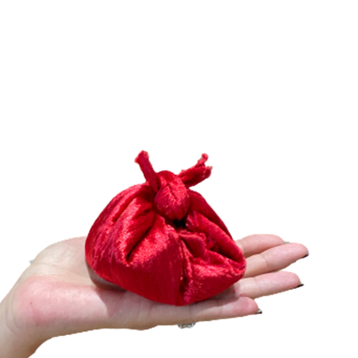 Le Balloon Le Précieux